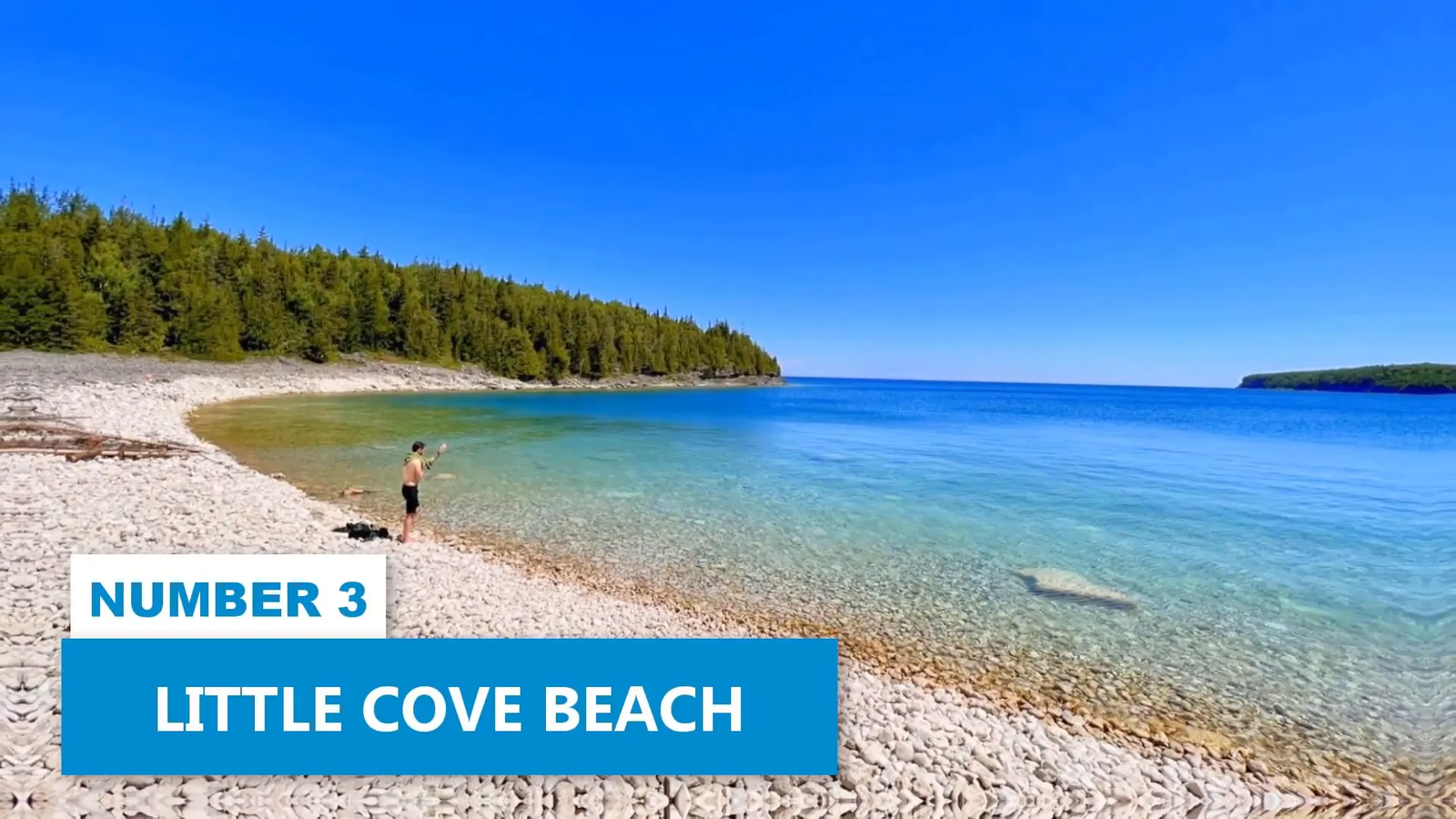 Little Cove Beach with turquoise water and trees