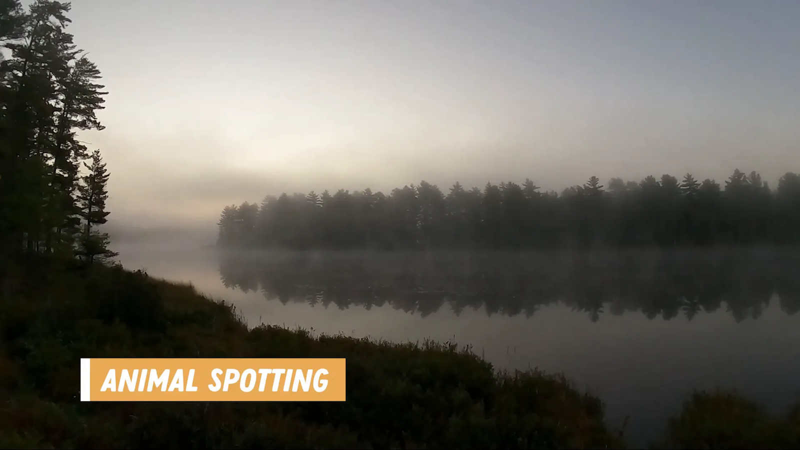 Sunrise over Algonquin Park forest