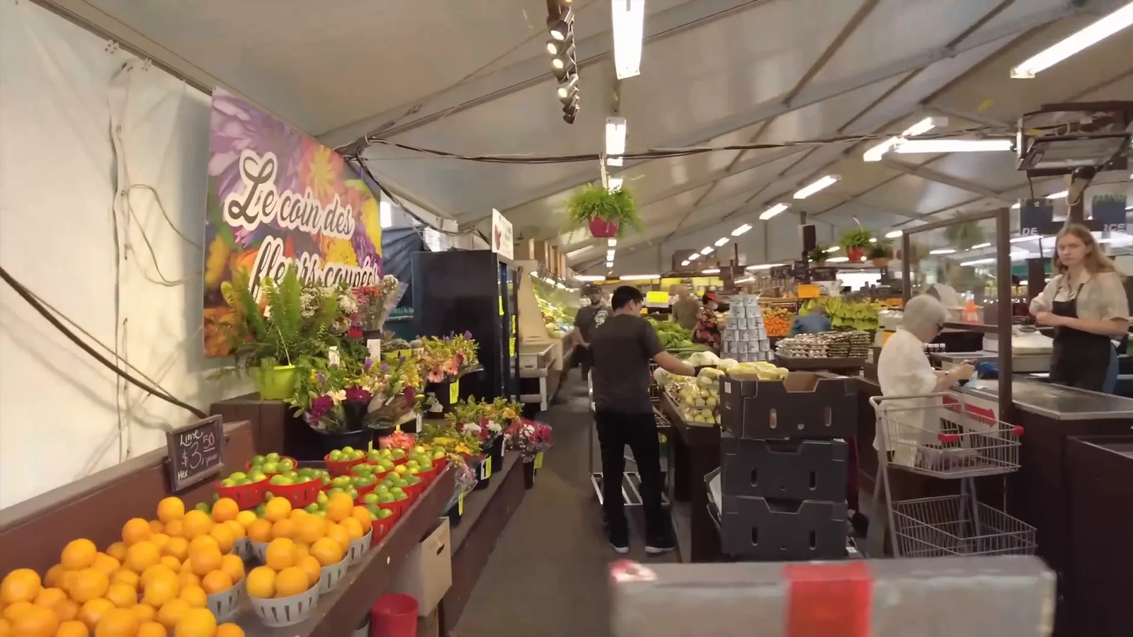 Jean Talon Market fresh produce stalls